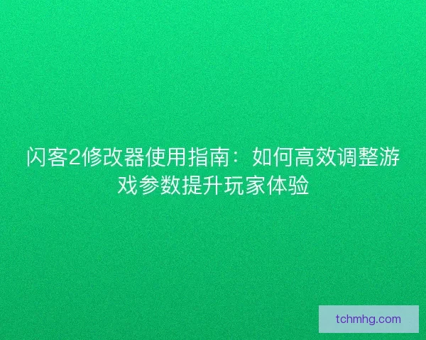 闪客2修改器使用指南：如何高效调整游戏参数提升玩家体验