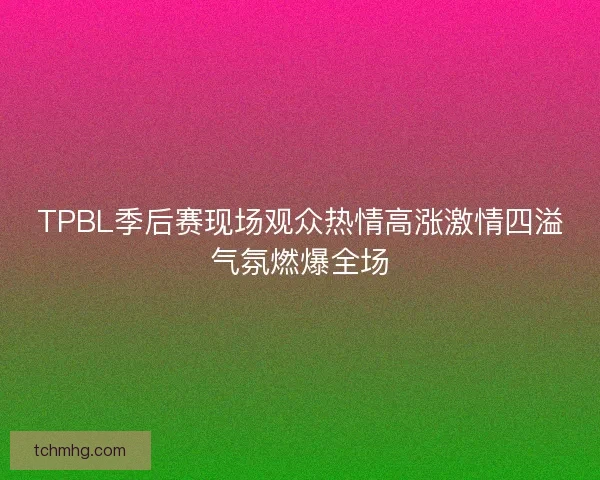 TPBL季后赛现场观众热情高涨激情四溢气氛燃爆全场